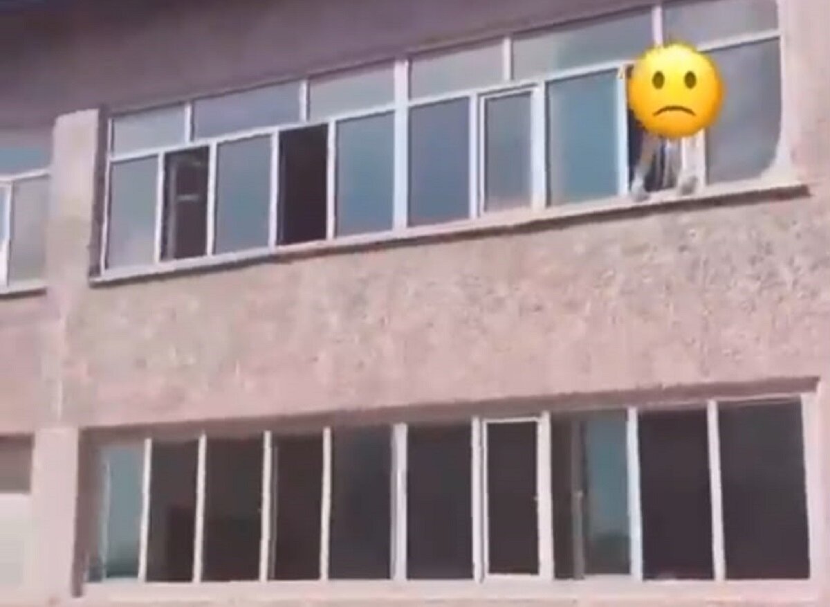 Три вызова скорой и запах краски: что происходит в школе под Алматы
