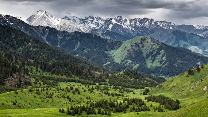 Көк Жайлау: тау туризмін дамытудың жаңа мүмкіндіктері