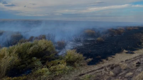 Ақмола облысында 148 гектар аумақтағы дала өрті сөндірілді