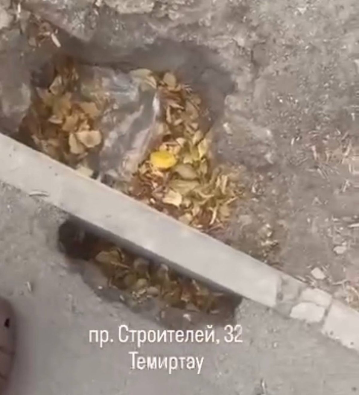«Жөнделді» деген шұңқыр қайта опырылды: Теміртауда тұрғындар тротуардың жағдайына наразы