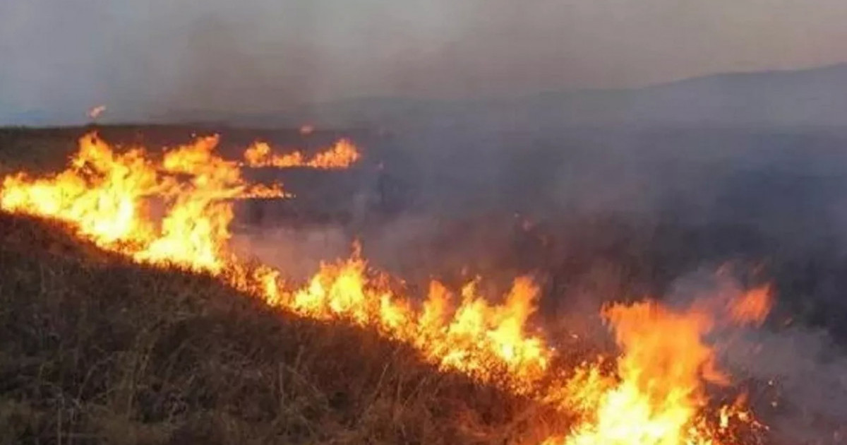  Қарағанды облысындағы дала өрті: ТЖД жүргізушілерге ескерту жасады 