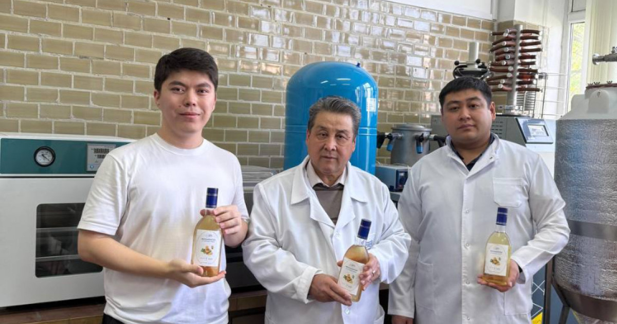  Қазақстандық ғалымдар адам ағзасына пайдалы жаңа сусын әзірледі 