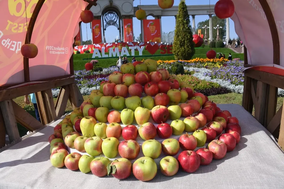 Alma Qala Fest: Алматыда өтетін ауқымды фестивальде 200 тонна алма ұсынылады