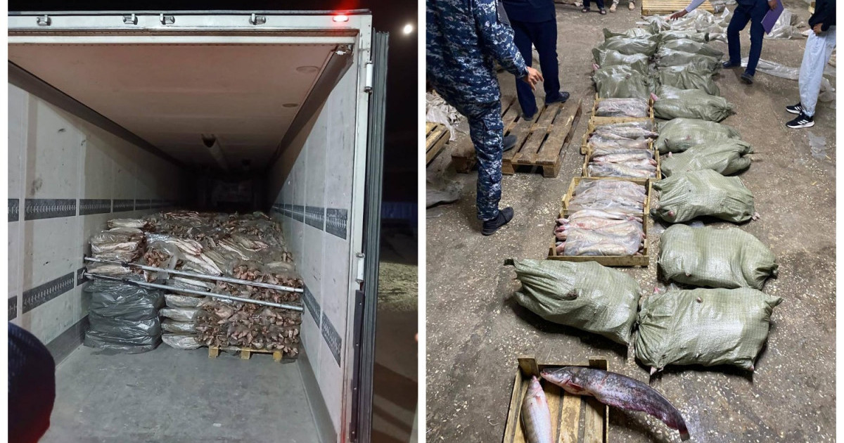  Атырауда заңсыз айналымнан 17 тоннадан астам балық өнімі тәркіленді 