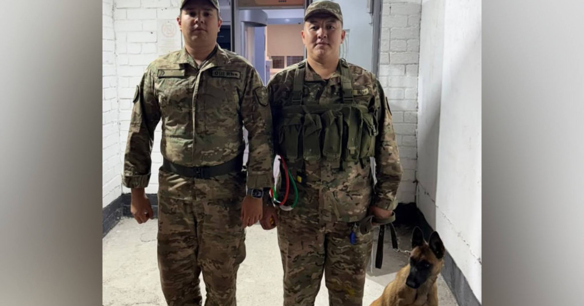 Ұландықтар қызметтік иттің көмегімен түрмеге заңсыз жеткізілмек болған затты тапты 