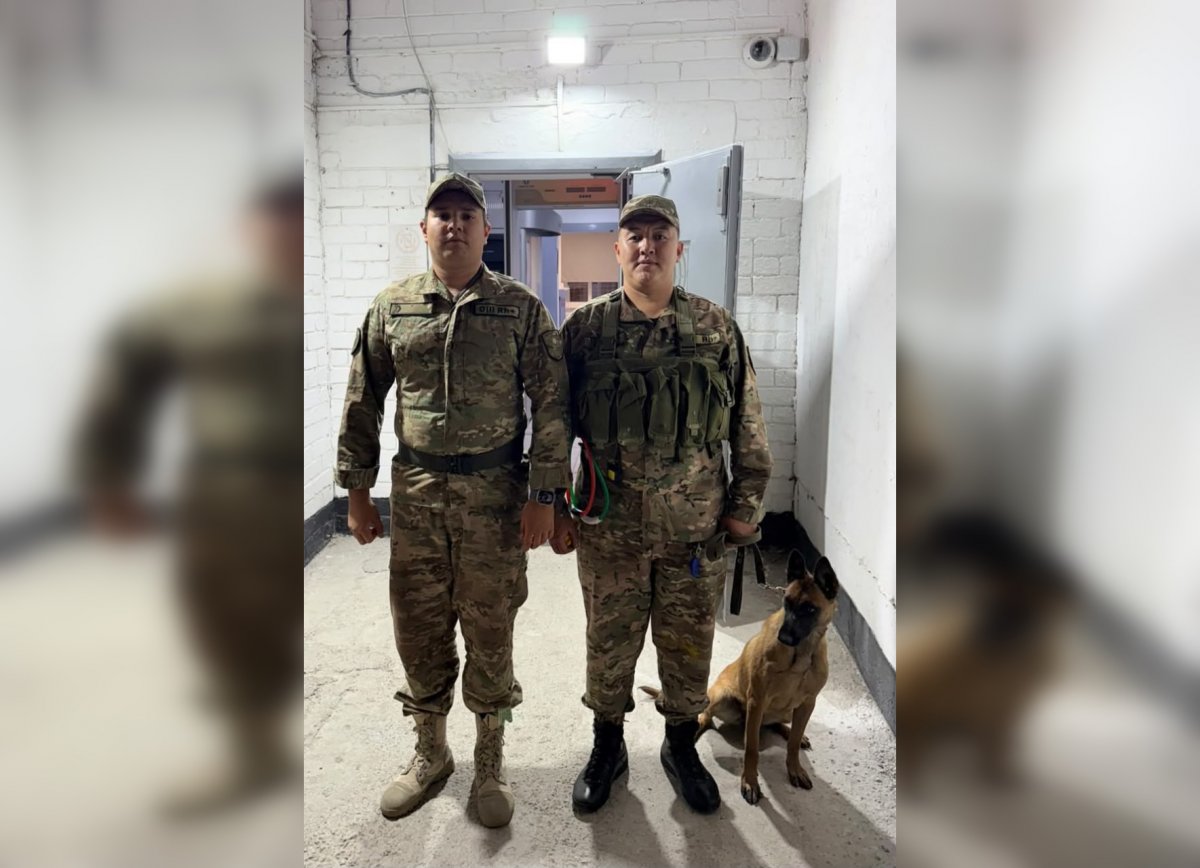 Собака Айза помешала водителю "Газели" провезти вещество в колонию под Аршалы