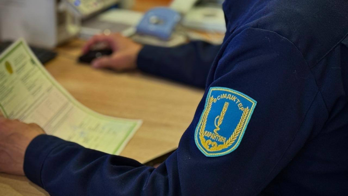 Более 1,3 тысячи нарушений выявили при фитосанитарном контроле