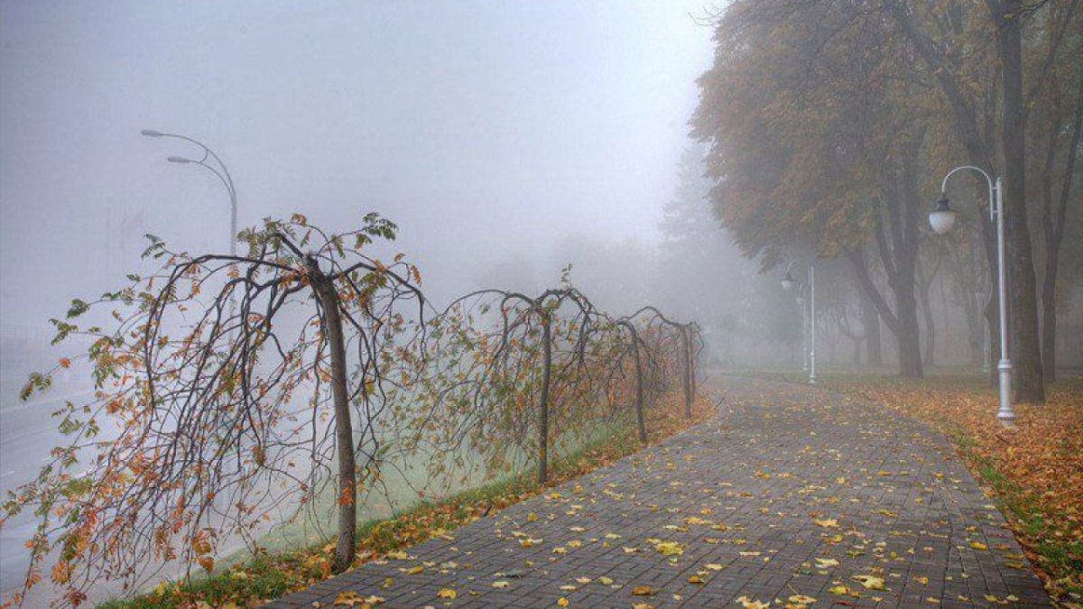 21 қыркүйекте бірнеше өңірде тұман, найзағай, жел күтіледі