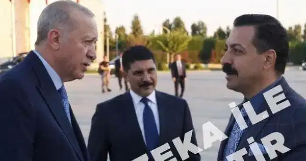  “Президентпен түскен сурет”: Түркияда ер адам ЖИ-мен жасаған суреттері үшін ұсталды 