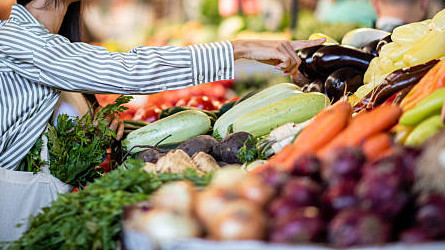Продукцию напрямую от фермеров смогут купить жители Актобе