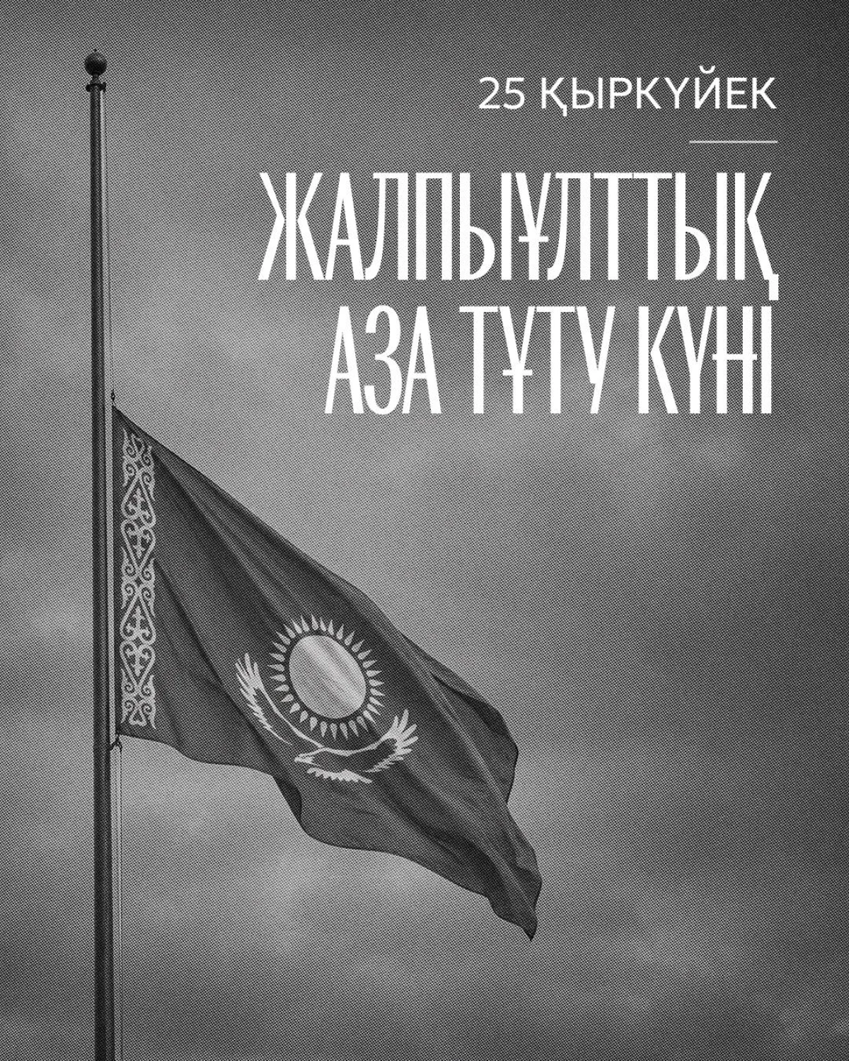 Глава государства выразил признательность Президенту РФ за соболезнования после гибели казахстанских военнослужащих