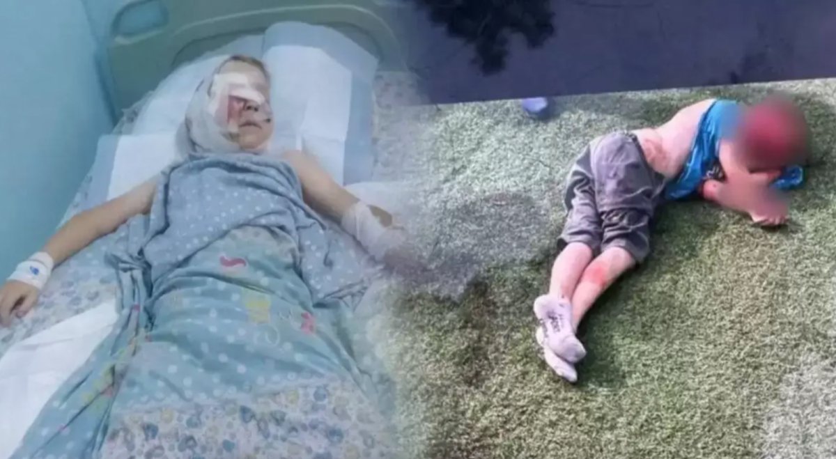 Алматы маңында баланы талап тастаған иттердің иесі босатылды